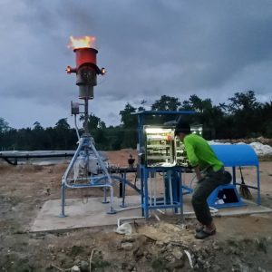 Flaring System